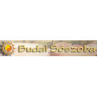 Budai Sószoba logó, embléma