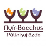 Nyír-Bacchus Bt. logó, embléma
