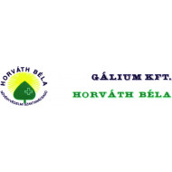 Gálium Kft. logó, embléma