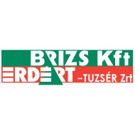 BRIZS Faipari Kft. logó, embléma