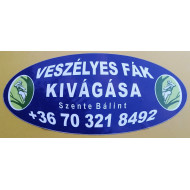 Szente Bálint - veszélyes fakivágás, kosaras autó bérlés logó, embléma