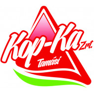 Kop-Ka Kereskedelmi és Szolgáltató Zrt. logó, embléma
