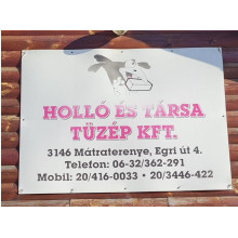 Holló és Társa Tüzép Kft.