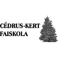 Cédrus-Kert Faiskola logó, embléma