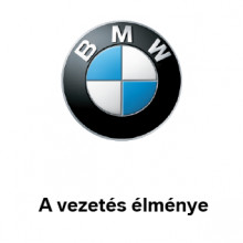 BMW Glass