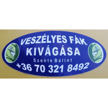 Szente Bálint - veszélyes fakivágás, kosaras autó bérlés